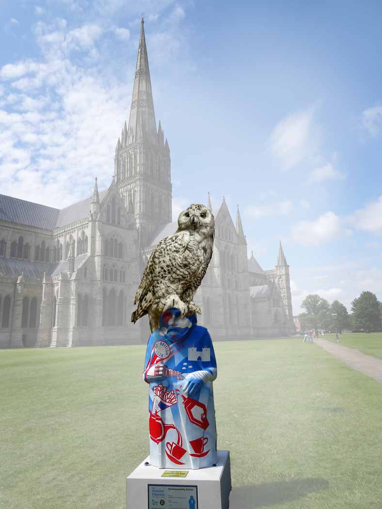 owl